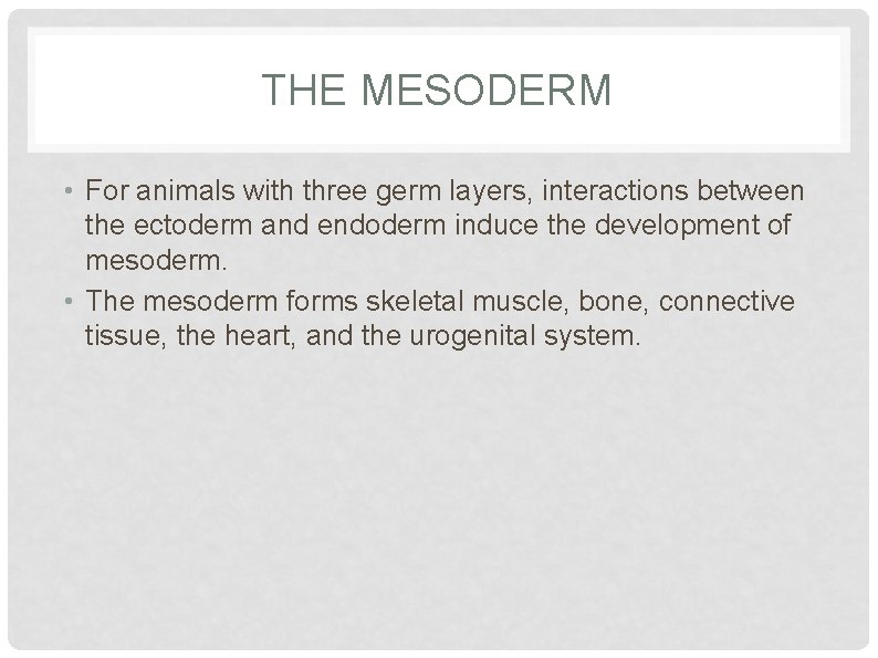 THE MESODERM • For animals with three germ layers, interactions between the ectoderm and