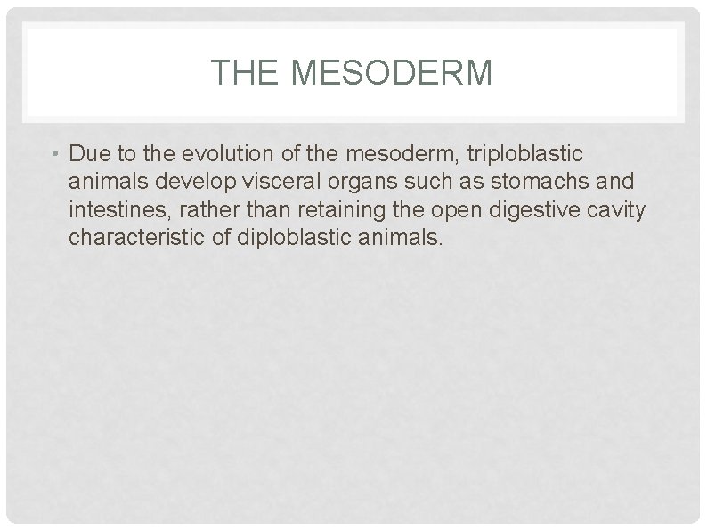 THE MESODERM • Due to the evolution of the mesoderm, triploblastic animals develop visceral