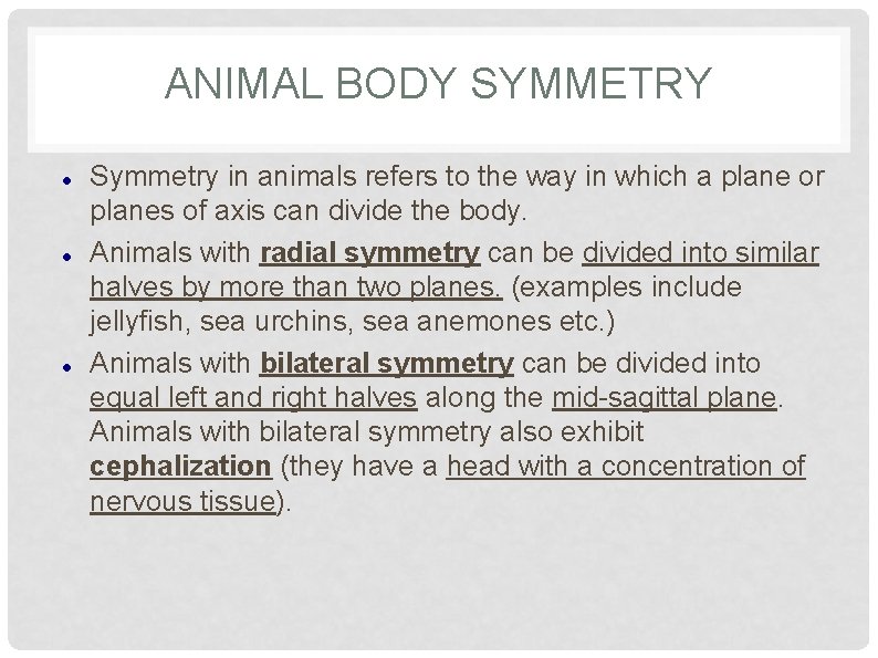 ANIMAL BODY SYMMETRY Symmetry in animals refers to the way in which a plane