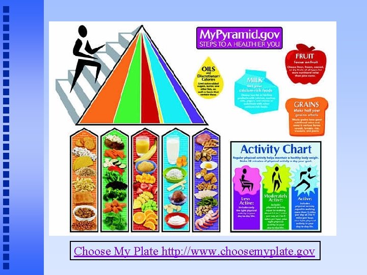 Choose My Plate http: //www. choosemyplate. gov 