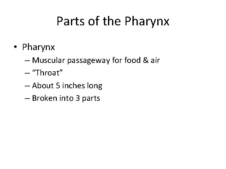 Parts of the Pharynx • Pharynx – Muscular passageway for food & air – Parts of the Pharynx • Pharynx – Muscular passageway for food & air –