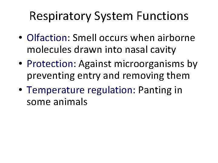 Respiratory System Functions • Olfaction: Smell occurs when airborne molecules drawn into nasal cavity