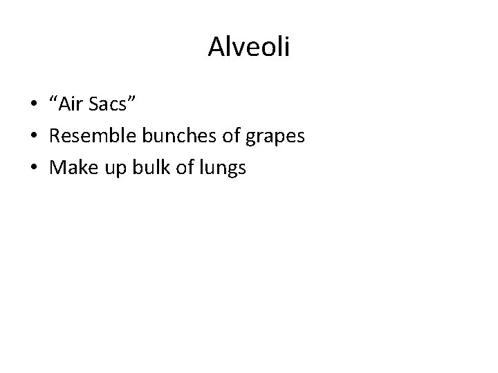 Alveoli • “Air Sacs” • Resemble bunches of grapes • Make up bulk of Alveoli • “Air Sacs” • Resemble bunches of grapes • Make up bulk of
