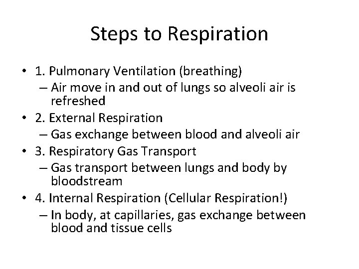 Steps to Respiration • 1. Pulmonary Ventilation (breathing) – Air move in and out Steps to Respiration • 1. Pulmonary Ventilation (breathing) – Air move in and out