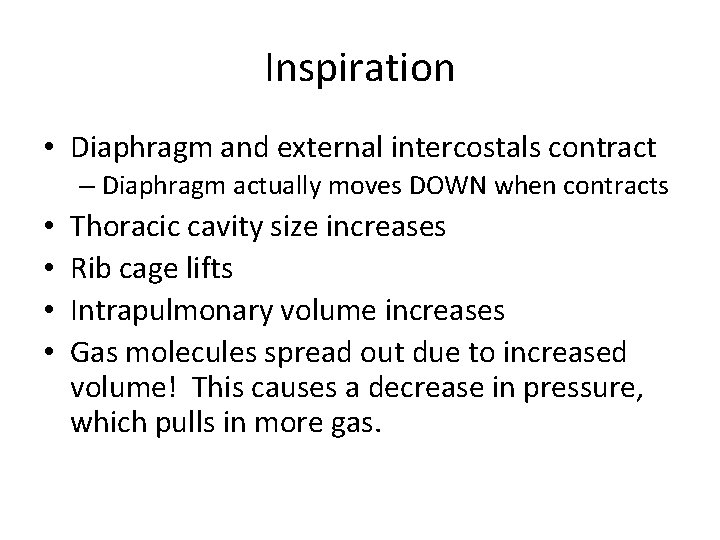 Inspiration • Diaphragm and external intercostals contract – Diaphragm actually moves DOWN when contracts Inspiration • Diaphragm and external intercostals contract – Diaphragm actually moves DOWN when contracts