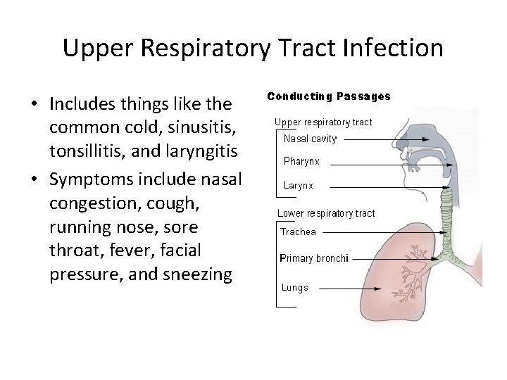 Upper Respiratory Tract Infection • Includes things like the common cold, sinusitis, tonsillitis, and Upper Respiratory Tract Infection • Includes things like the common cold, sinusitis, tonsillitis, and