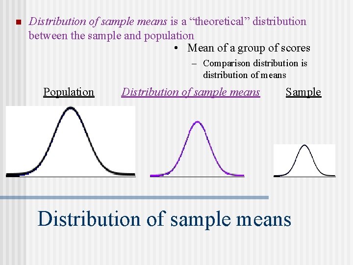 n Distribution of sample means is a “theoretical” distribution between the sample and population