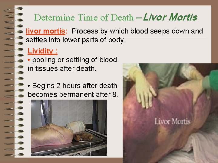 Determine Time of Death — Determine Time of Death Livor Mortis livor mortis: Process