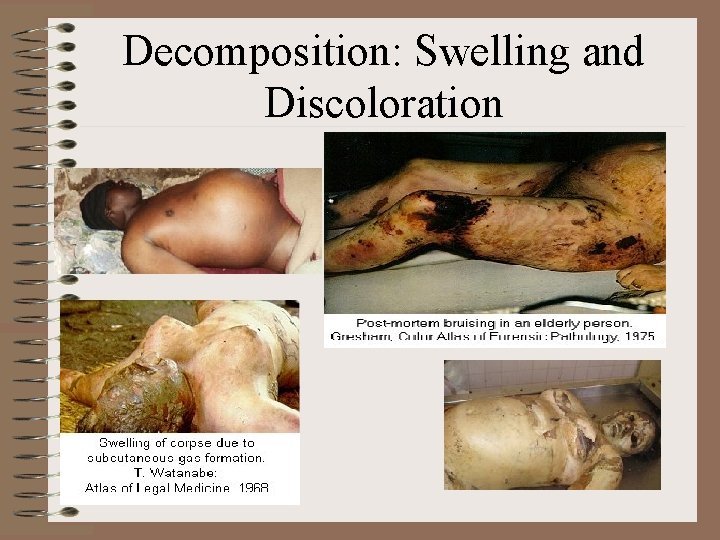 Decomposition: Swelling and Discoloration 