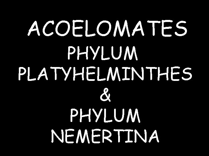 ACOELOMATES PHYLUM PLATYHELMINTHES & PHYLUM NEMERTINA 