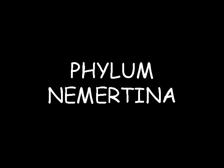 PHYLUM NEMERTINA 