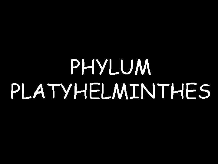 PHYLUM PLATYHELMINTHES 