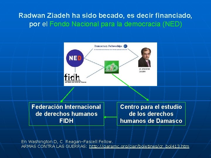 Radwan Ziadeh ha sido becado, es decir financiado, por el Fondo Nacional para la