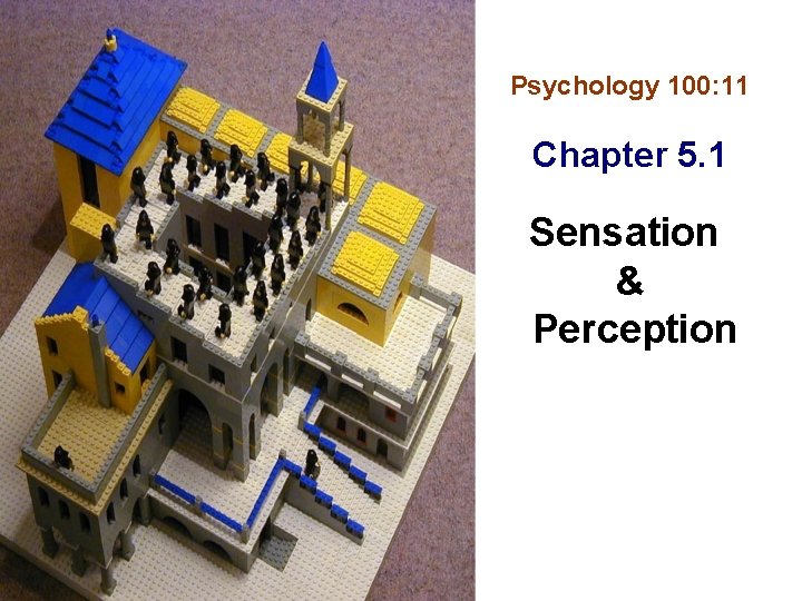 Psychology 100 11 Chapter 5 1 Sensation Perception