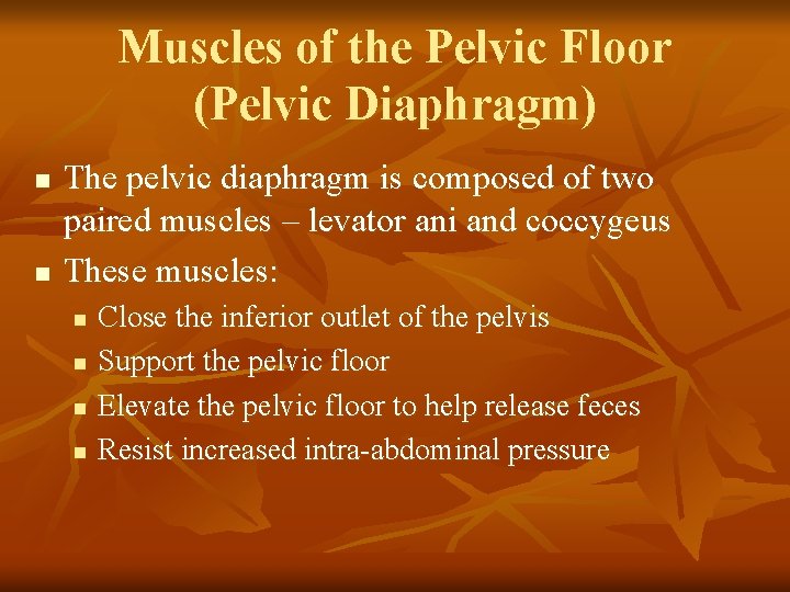 Muscles of the Pelvic Floor (Pelvic Diaphragm) n n The pelvic diaphragm is composed