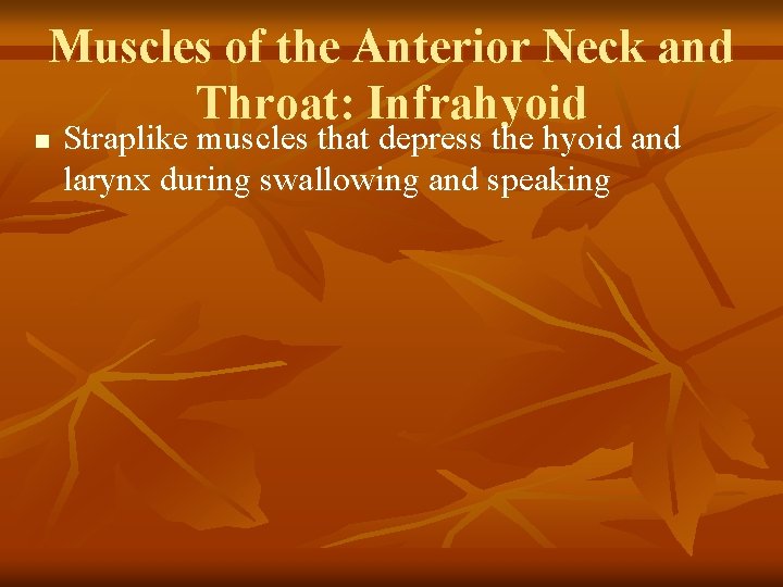 Muscles of the Anterior Neck and Throat: Infrahyoid n Straplike muscles that depress the