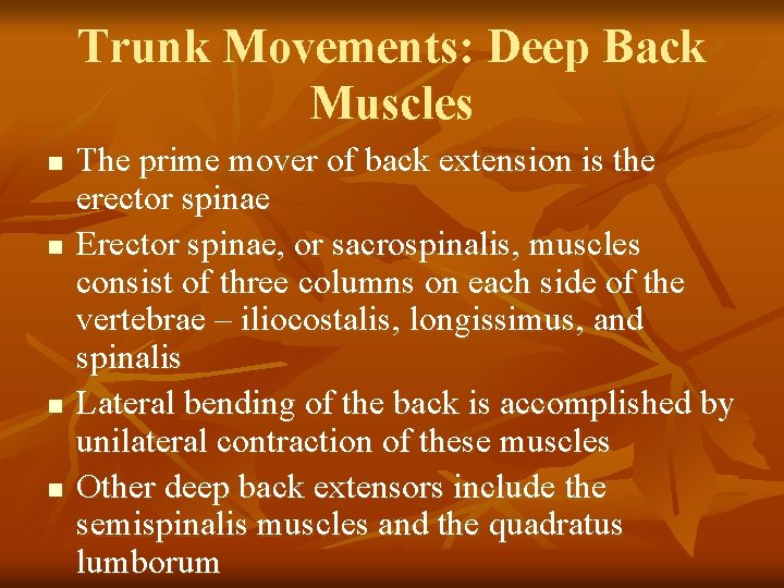 Trunk Movements: Deep Back Muscles n n The prime mover of back extension is