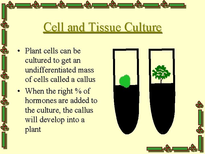 Cell and Tissue Culture • Plant cells can be cultured to get an undifferentiated