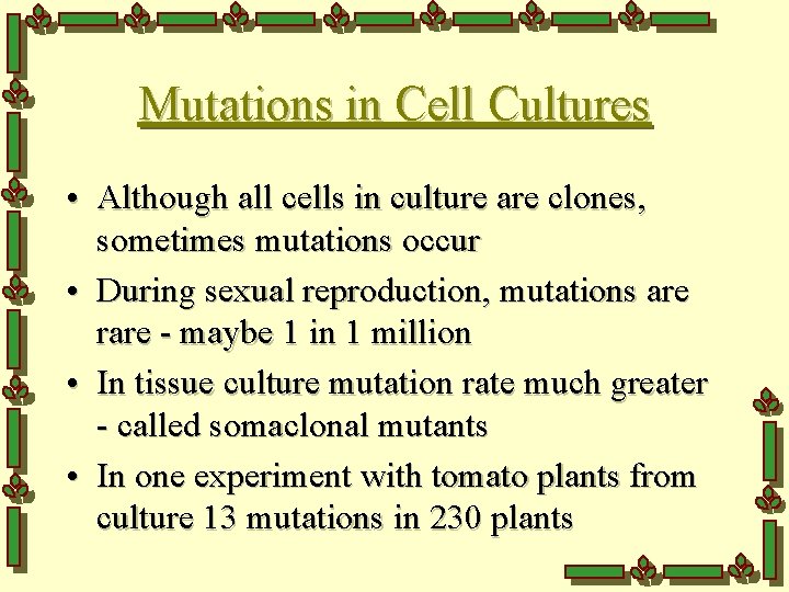 Mutations in Cell Cultures • Although all cells in culture are clones, sometimes mutations