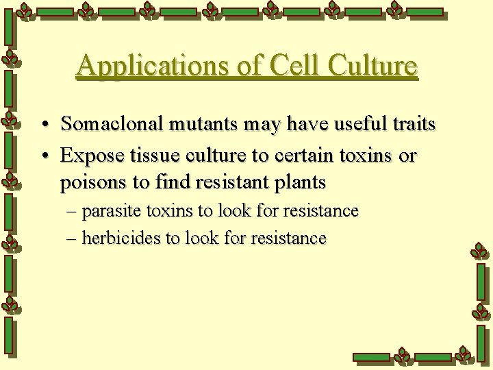 Applications of Cell Culture • Somaclonal mutants may have useful traits • Expose tissue