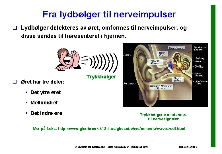 Fra lydbølger til nerveimpulser q Lydbølger detekteres av øret, omformes til nerveimpulser, og disse