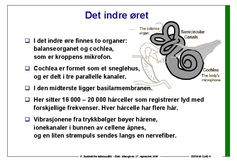 Det indre øret q I det indre øre finnes to organer: balanseorganet og cochlea,