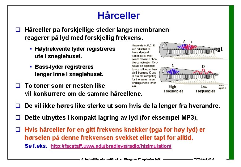 Hårceller q Hårceller på forskjellige steder langs membranen reagerer på lyd med forskjellig frekvens.