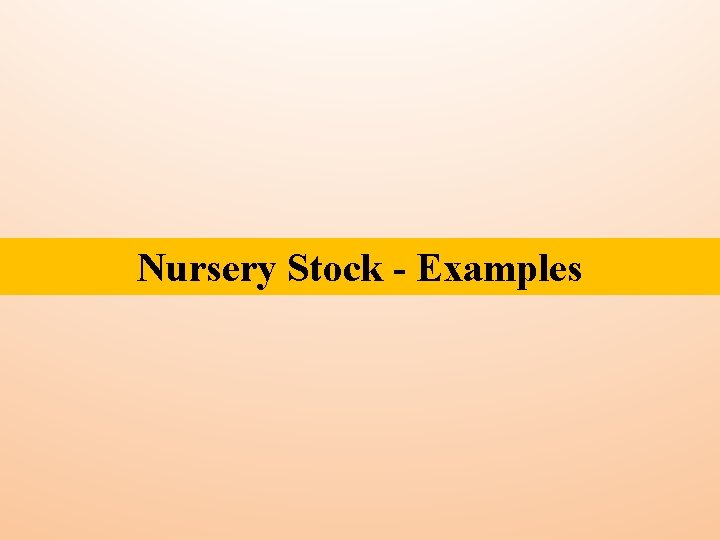 Nursery Stock - Examples 