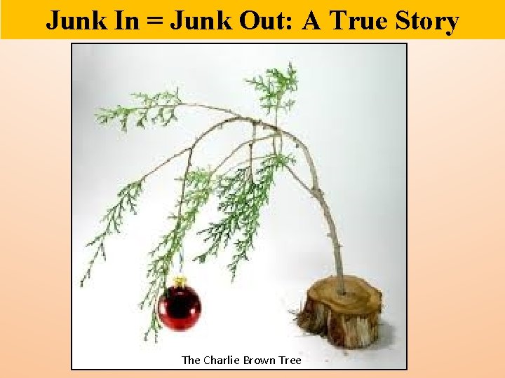 Junk In = Junk Out: A True Story The Charlie Brown Tree 