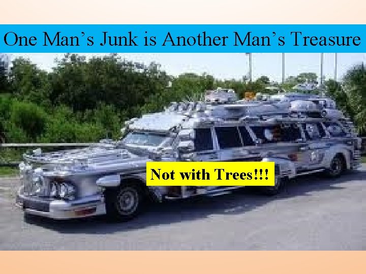One Man’s Junk is Another Man’s Treasure Not with Trees!!! 