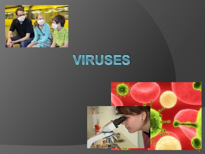 VIRUSES 1 