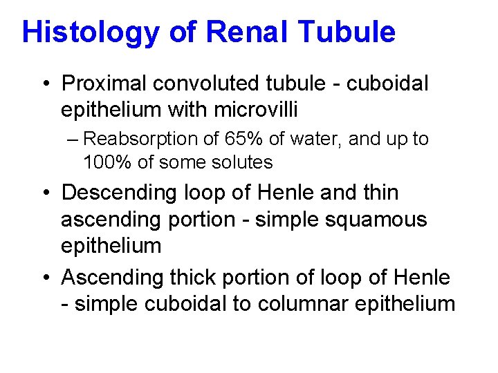 Histology of Renal Tubule • Proximal convoluted tubule - cuboidal epithelium with microvilli –