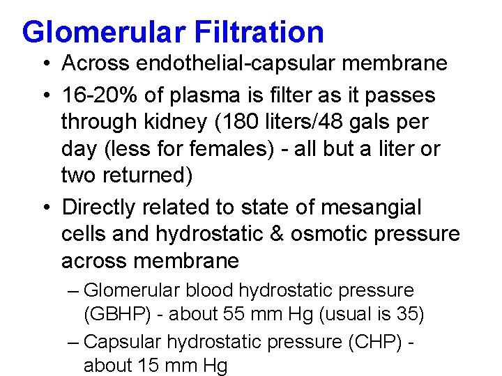 Glomerular Filtration • Across endothelial-capsular membrane • 16 -20% of plasma is filter as