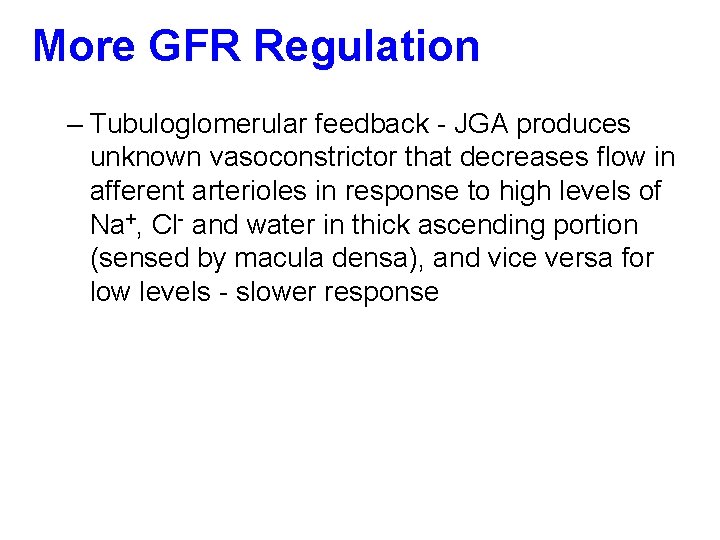 More GFR Regulation – Tubuloglomerular feedback - JGA produces unknown vasoconstrictor that decreases flow
