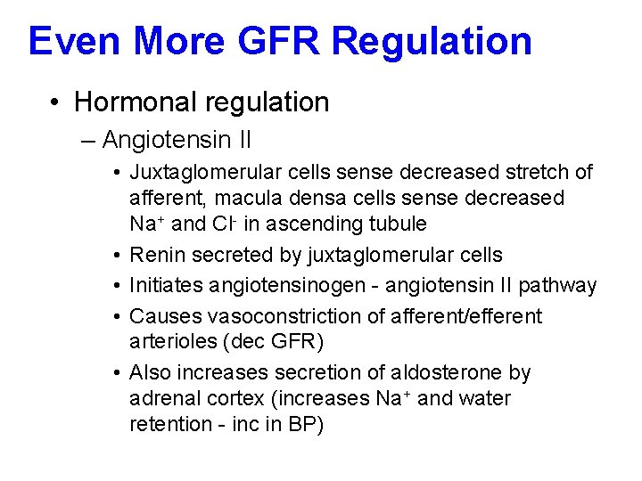 Even More GFR Regulation • Hormonal regulation – Angiotensin II • Juxtaglomerular cells sense