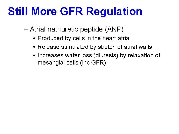 Still More GFR Regulation – Atrial natriuretic peptide (ANP) • Produced by cells in