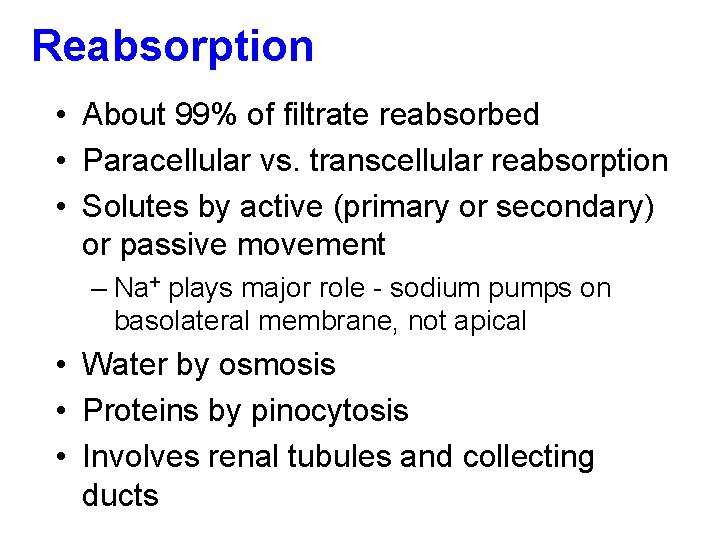 Reabsorption • About 99% of filtrate reabsorbed • Paracellular vs. transcellular reabsorption • Solutes