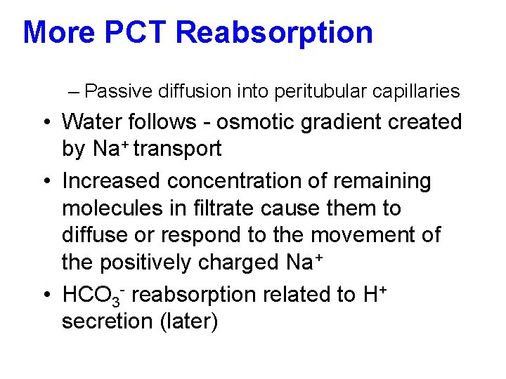 More PCT Reabsorption – Passive diffusion into peritubular capillaries • Water follows - osmotic