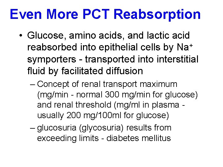 Even More PCT Reabsorption • Glucose, amino acids, and lactic acid reabsorbed into epithelial