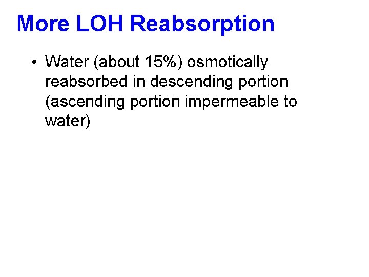 More LOH Reabsorption • Water (about 15%) osmotically reabsorbed in descending portion (ascending portion