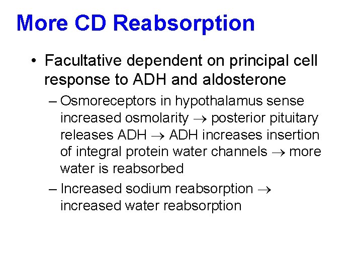 More CD Reabsorption • Facultative dependent on principal cell response to ADH and aldosterone