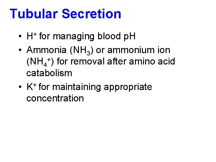 Tubular Secretion • H+ for managing blood p. H • Ammonia (NH 3) or