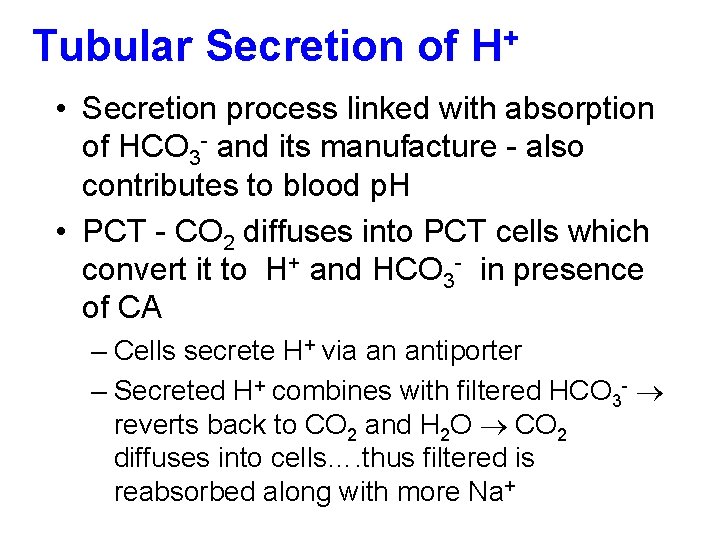 Tubular Secretion of H+ • Secretion process linked with absorption of HCO 3 -