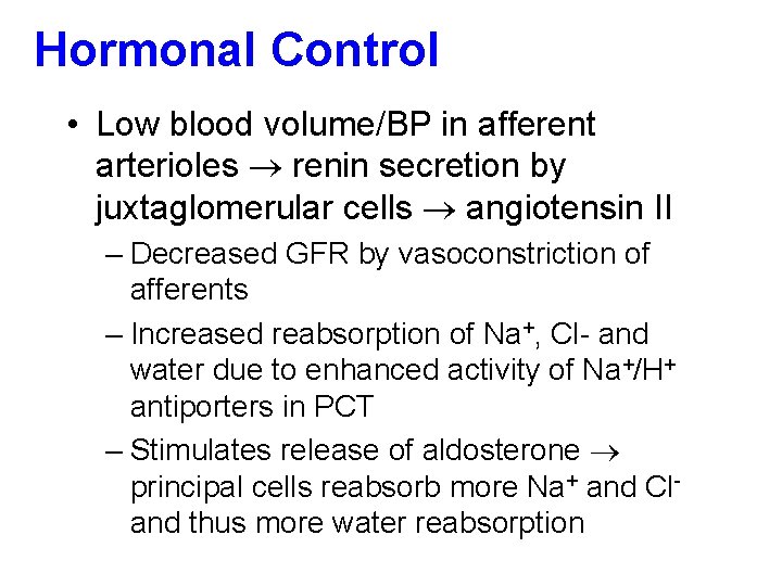 Hormonal Control • Low blood volume/BP in afferent arterioles renin secretion by juxtaglomerular cells