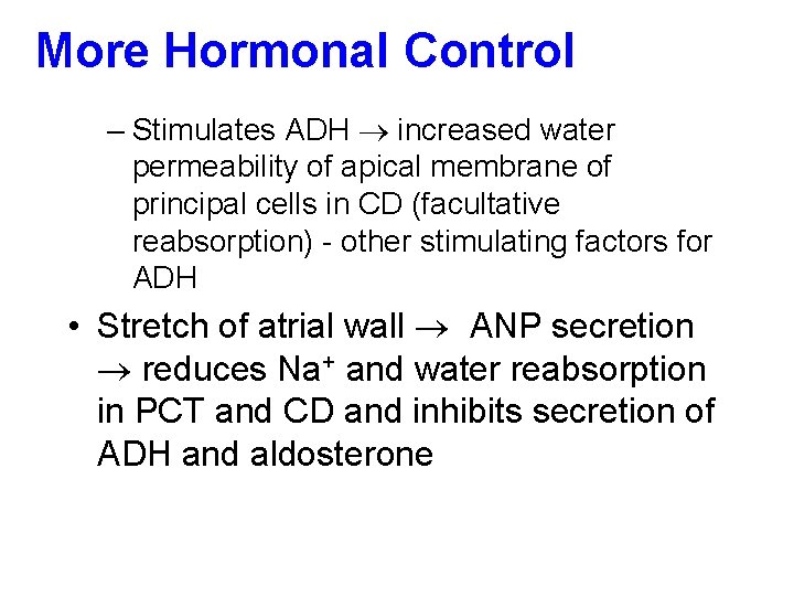 More Hormonal Control – Stimulates ADH increased water permeability of apical membrane of principal