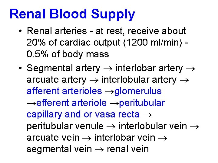 Renal Blood Supply • Renal arteries - at rest, receive about 20% of cardiac