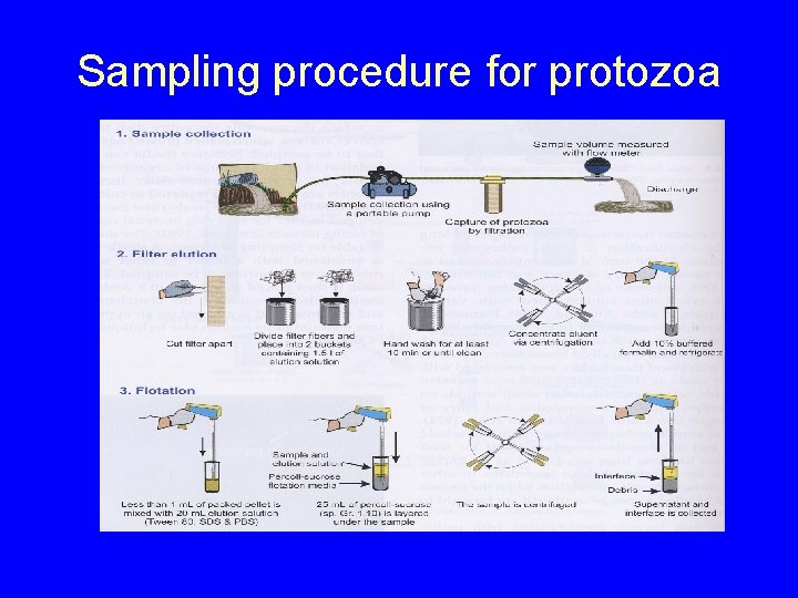 Sampling procedure for protozoa 