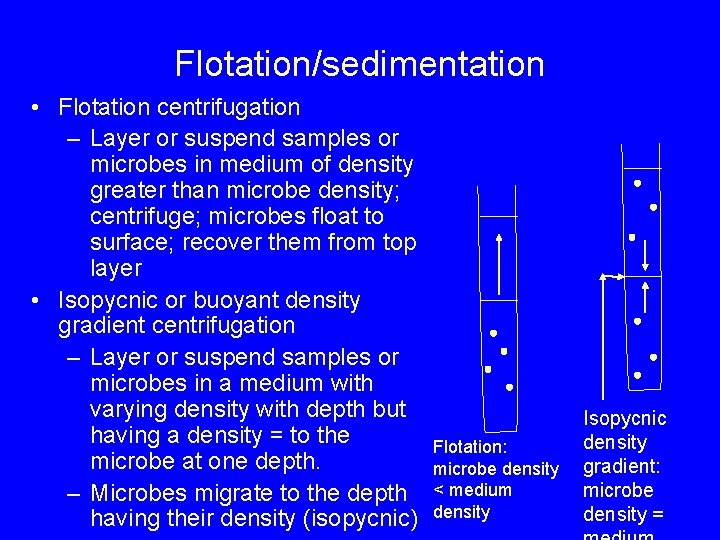 Flotation/sedimentation • Flotation centrifugation – Layer or suspend samples or microbes in medium of