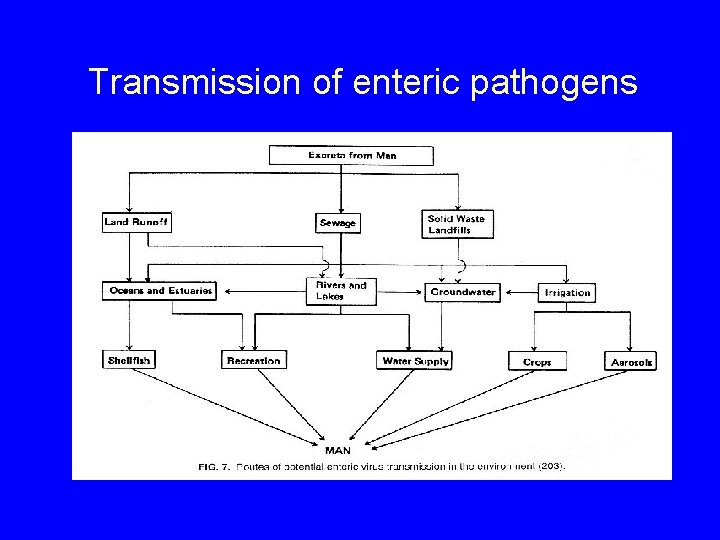 Transmission of enteric pathogens 