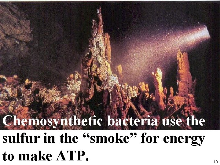 Chemosynthetic bacteria use the sulfur in the “smoke” for energy to make ATP. 10